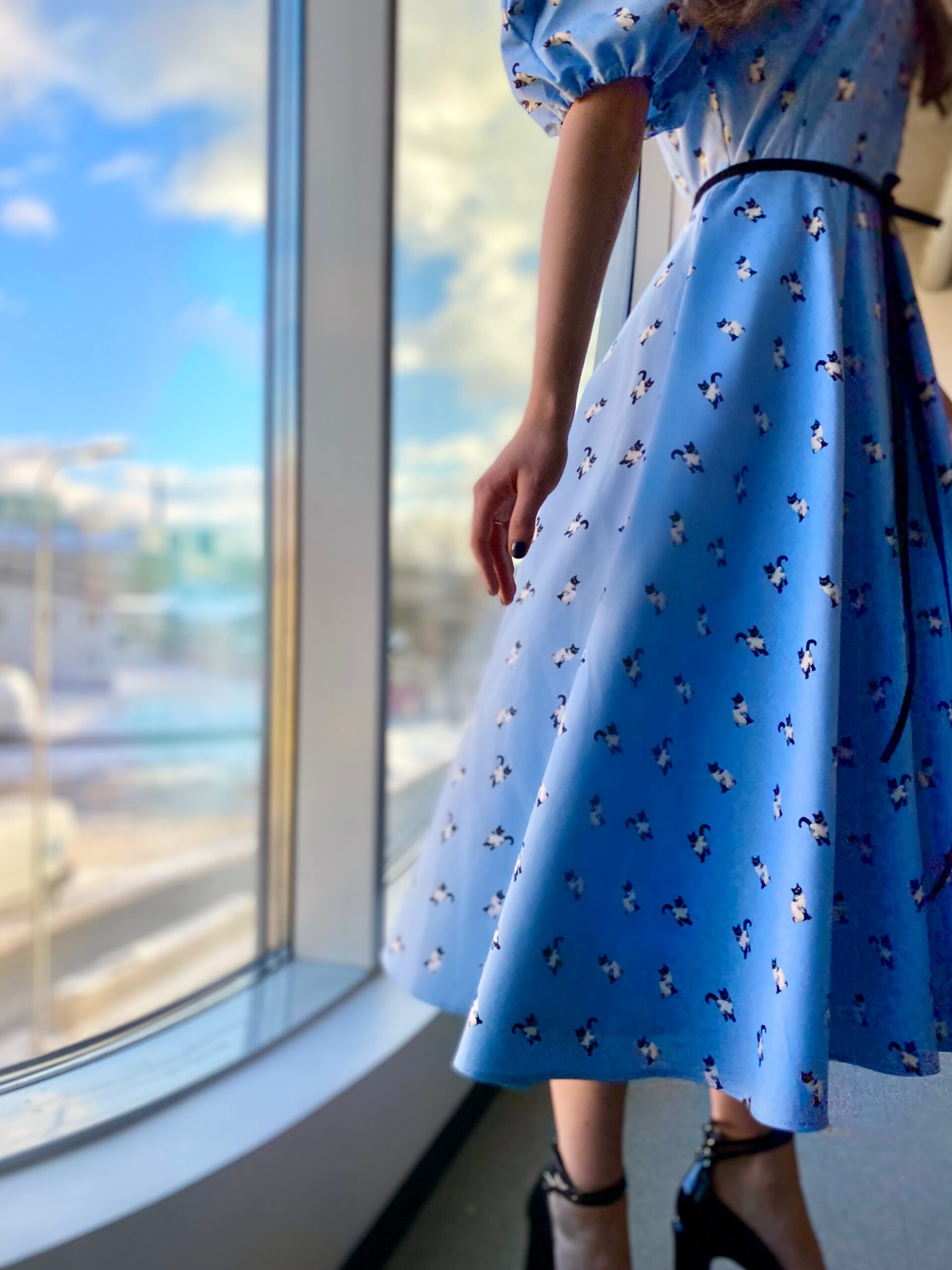 Sky blue color with kittens dress