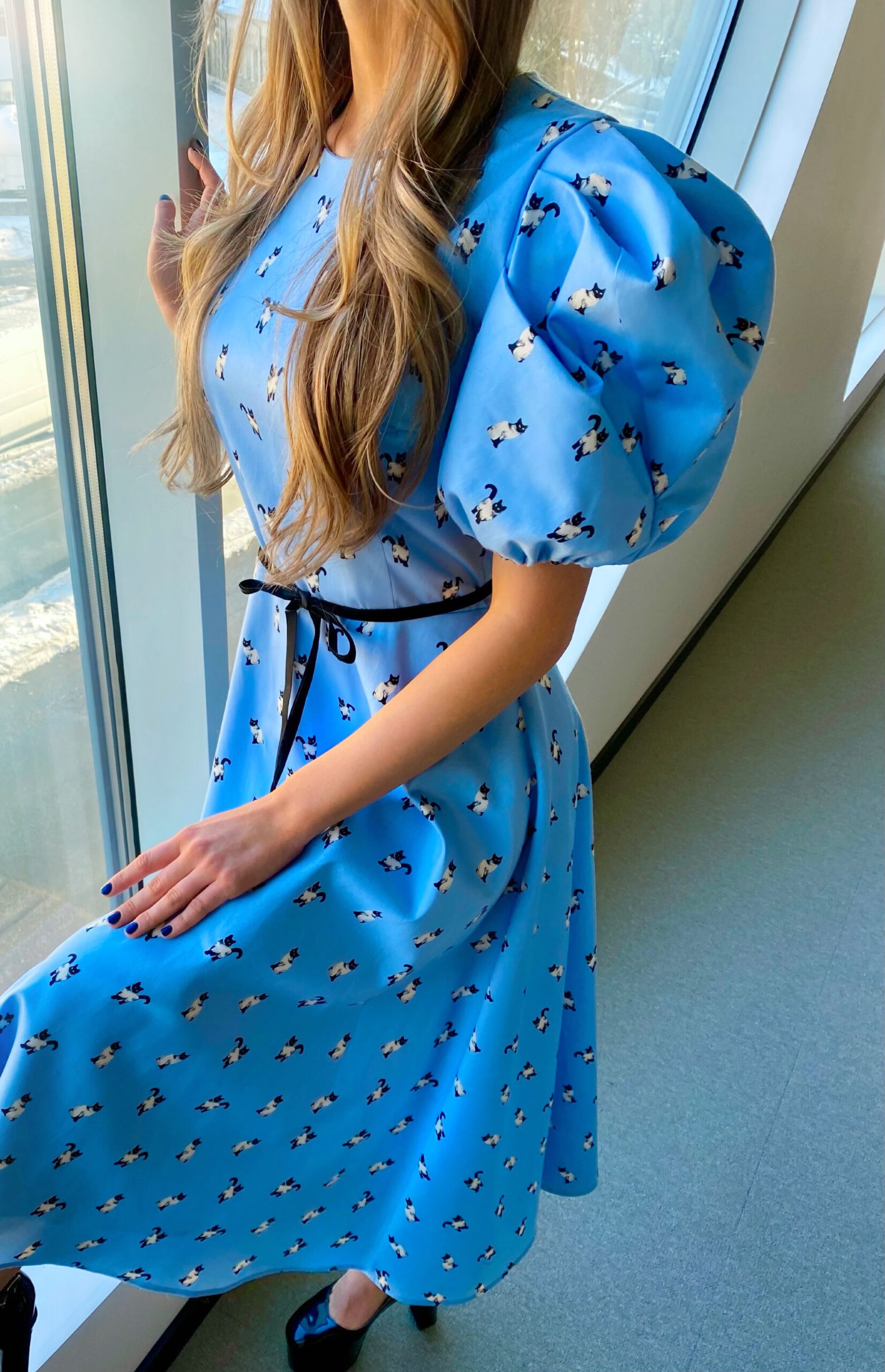 Sky blue color with kittens dress
